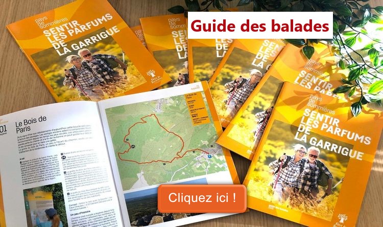 Guide des balades Guide des balades