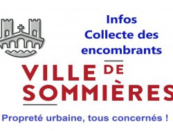 INCIVILITES EN VILLE RAPPEL DES REGLES INCIVILITES EN VILLE RAPPEL DES REGLES