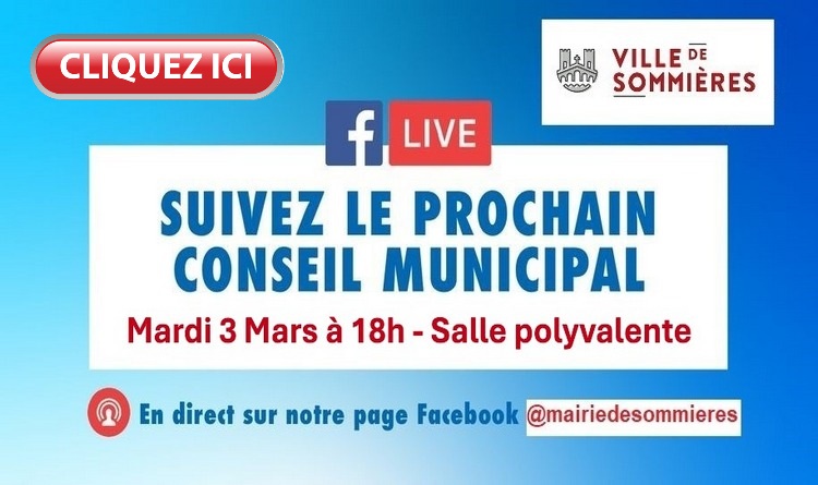 Conseil municipal Conseil municipal