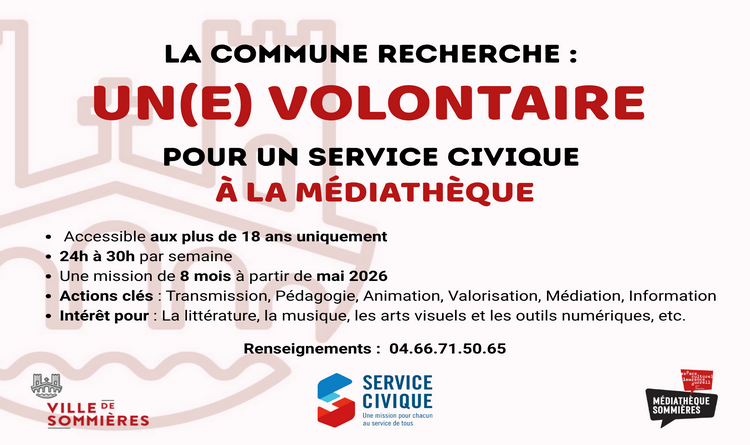 Volontaire à la médiathèque Volontaire à la médiathèque