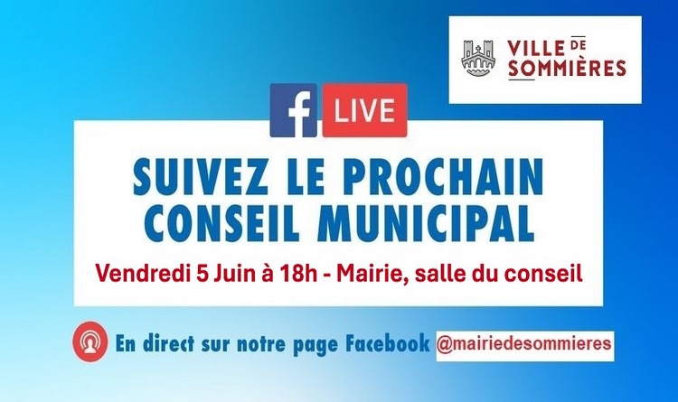 Conseil municipal Conseil municipal