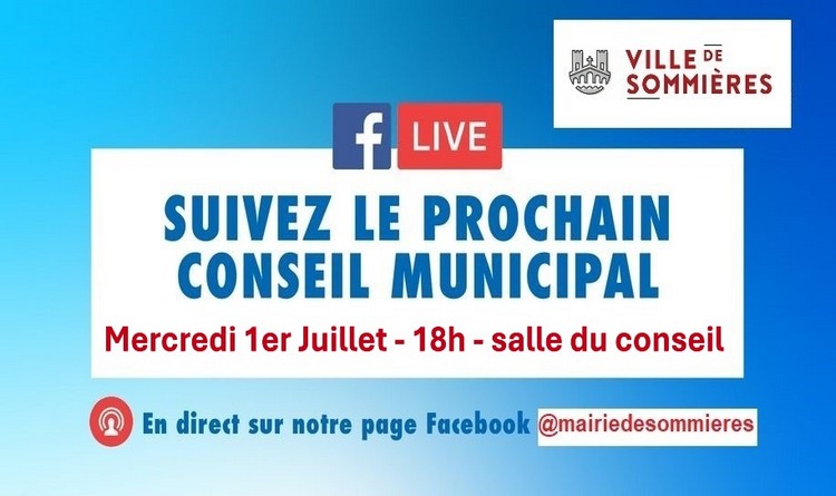 Conseil municipal Conseil municipal