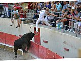 Course camarguaise Course camarguaise